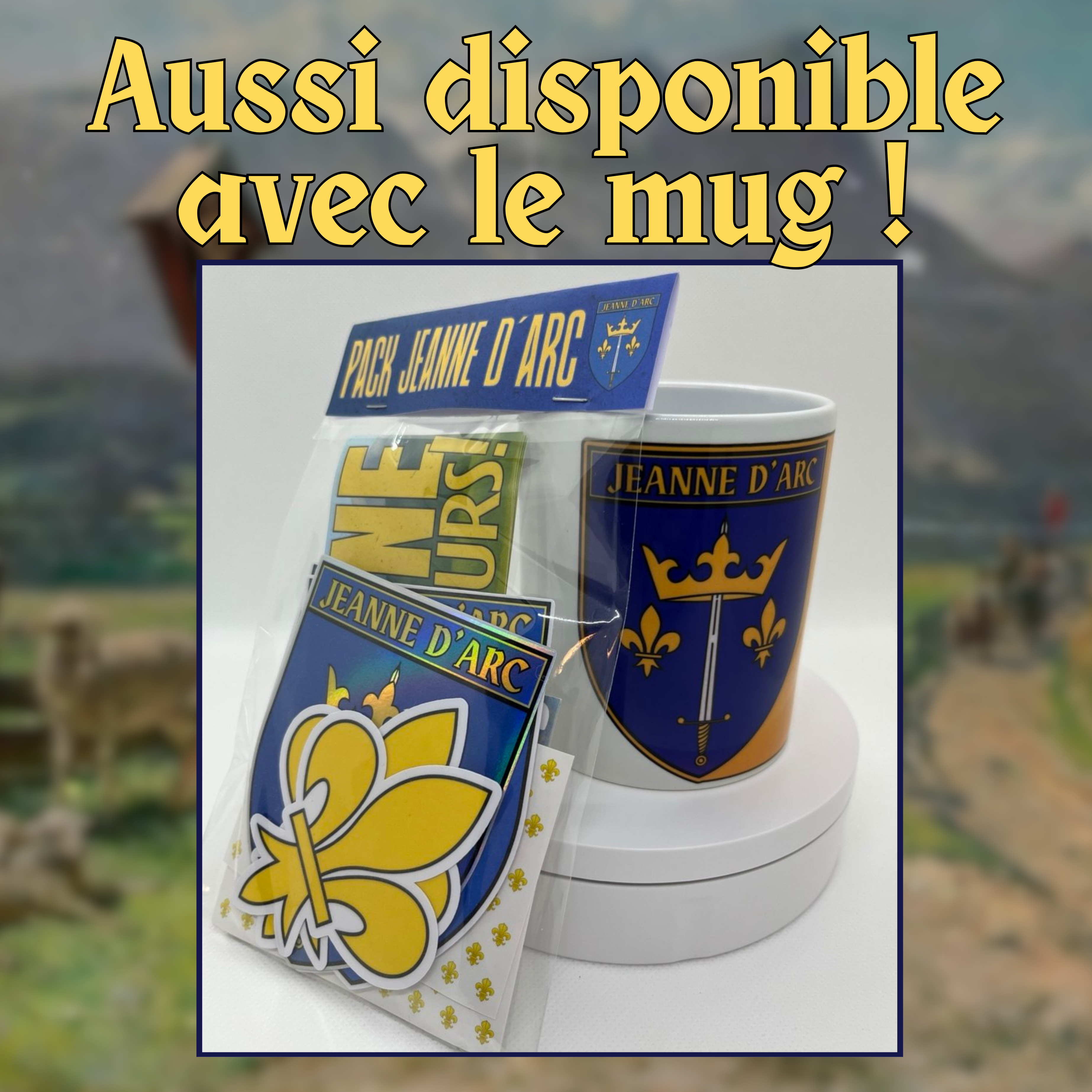 Pack 20 autocollants Jeanne d'Arc